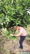 农学博士生阿旺返乡创业种水果 为田野找一把AI钥匙