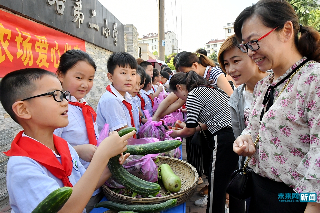 合肥：小学生义卖自种蔬菜献爱心