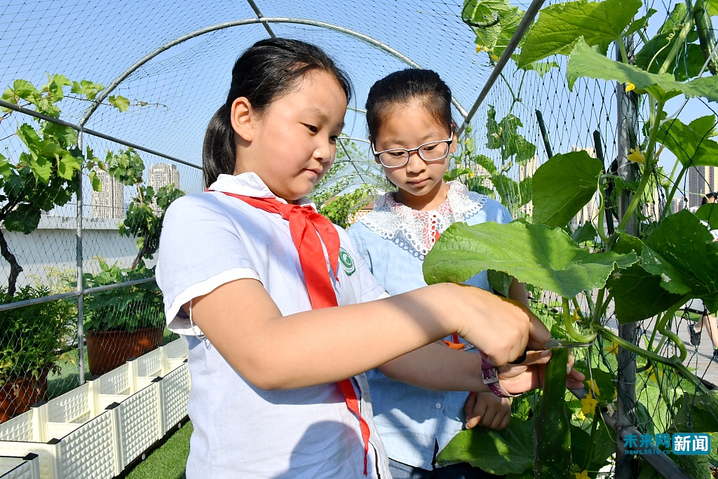 合肥：小学生义卖自种蔬菜献爱心