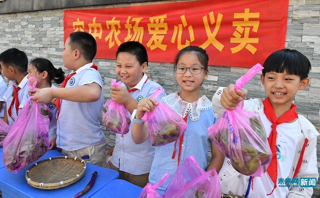 合肥：小学生义卖自种蔬菜献爱心