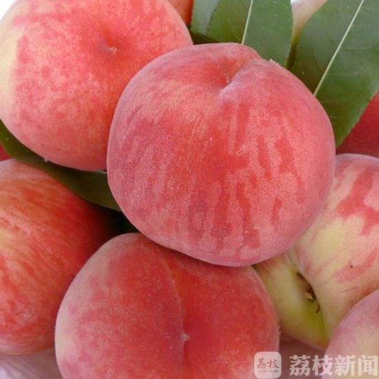 供求原因導致今年江蘇水果價格普遍上漲