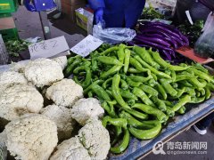 零售价跌破8元!青岛今日蔬菜零售均价7.7元/公斤