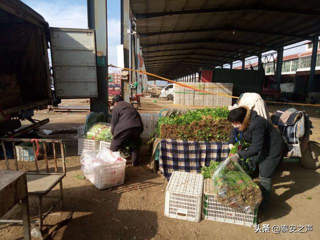 北宋蔬菜批发市场恢复营业！