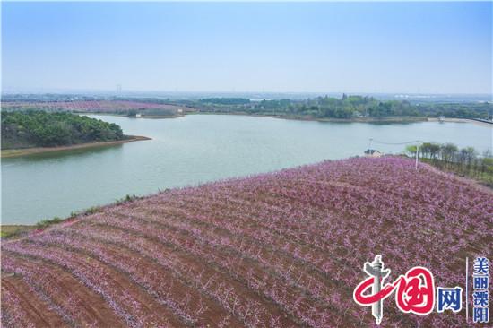 溧阳桃农徐华东的农旅融合之道