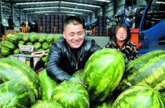 贵阳农产品物流园“果香黔城”水果嘉年华开幕