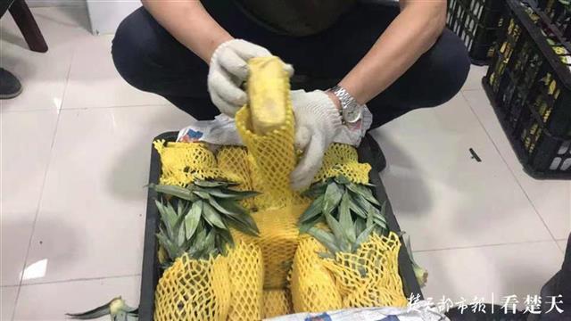 50吨菠萝中暗藏54公斤麻果，10余民警“卸”了一通宵