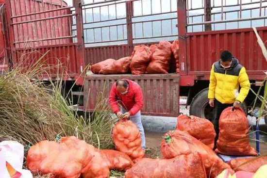 西充10吨有机蔬菜驰援武汉 高速交警向爱心车辆敬礼