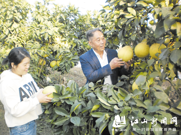 种水果促增收