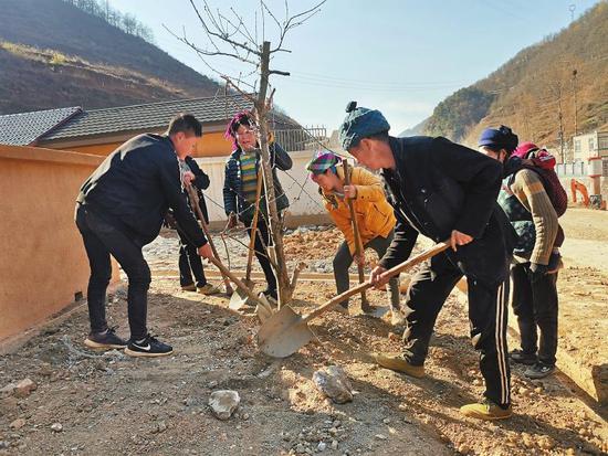 3月21日，腾地村易地扶贫搬迁安置点房前，村民合力栽种桃树。本报记者 王代强 摄