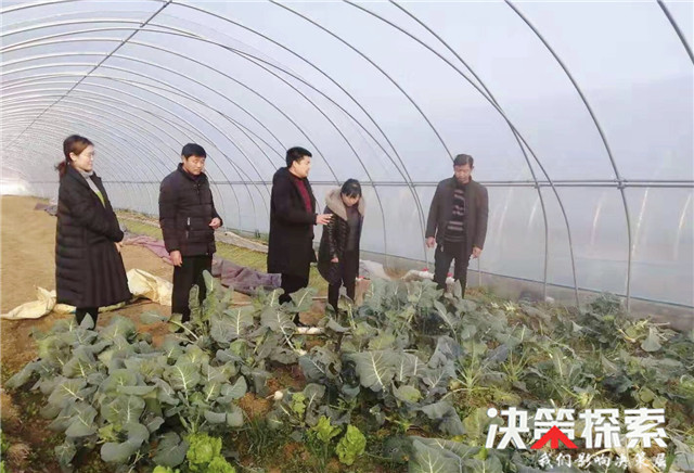 桐河乡李营村：让蔬菜种植带动村民脱贫增收1.jpg