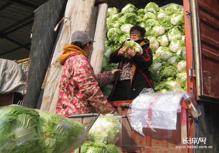 “货多着呢，涨不了！”——探访石家庄桥西蔬菜批发市场