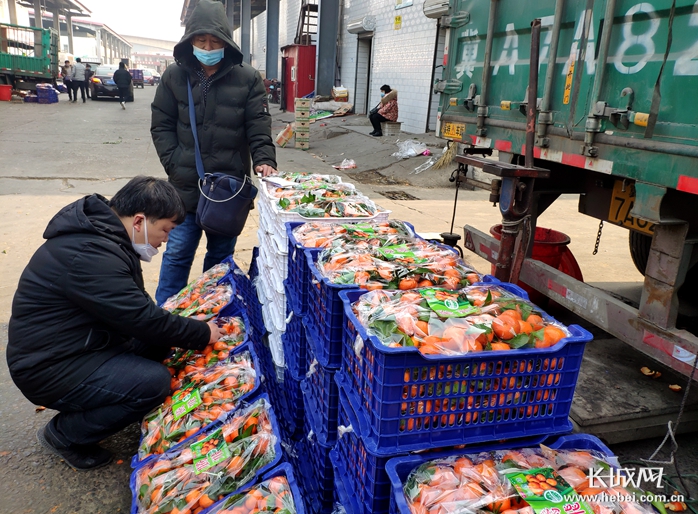 “货多着呢，涨不了！”——探访石家庄桥西蔬菜批发市场