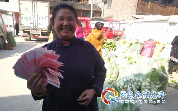 从江丙妹镇蔬菜种植助推脱贫攻坚，群众致富喜呈“新气象”