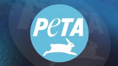 善待动物组织PETA盯上《动森》：素食者只能吃水果