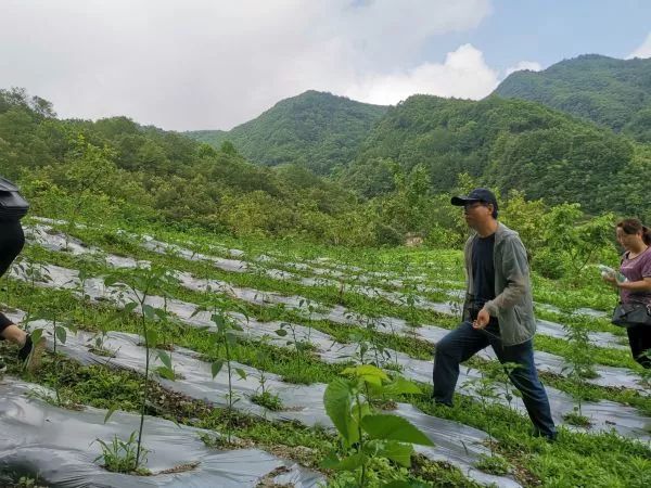 汉滨区：打造品质过硬的无公害蔬菜产品