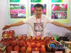 探访海南冬交会：政府牵线 陕西宜川苹果展会销售旺