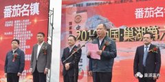 2019中国·巢湖第六届中垾番茄美食文化节开幕