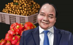 越南水果出口受阻，椰子价格暴跌47%！超1000辆货车仍等待通关
