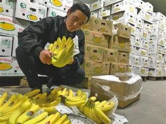 北京新发地市场进口水果亚洲超6成