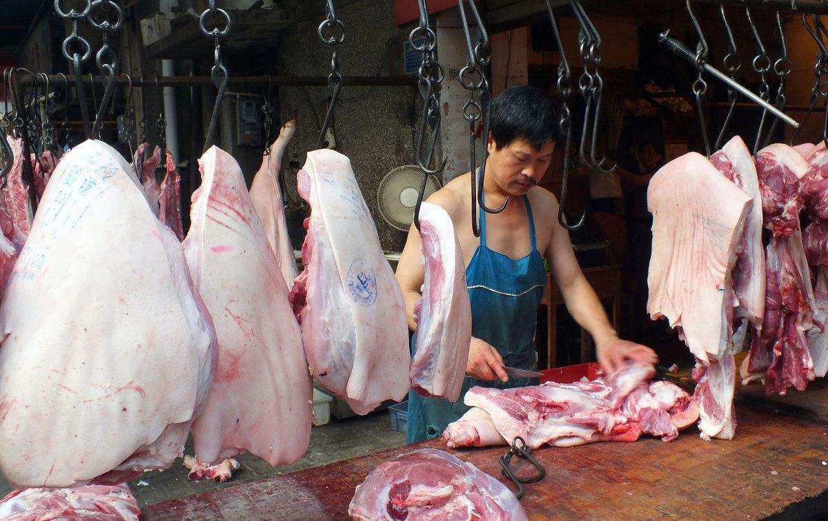 猪价“10连跌”，国家为猪肉“操碎心”，猪肉白菜价估计在……