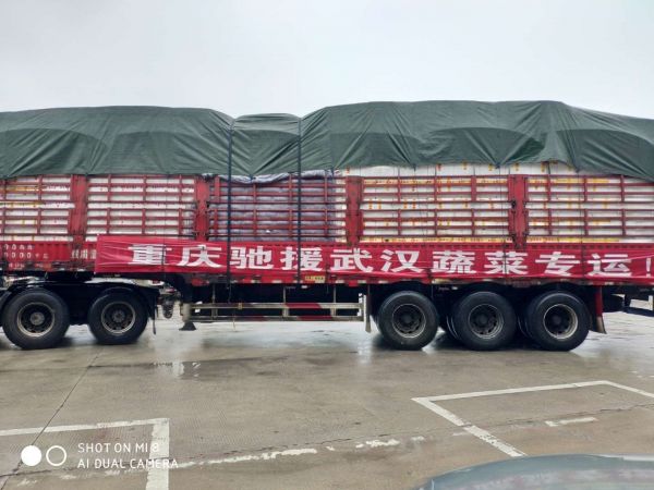 蔬菜批发市场送货车辆明显增多，武汉人不愁买不到菜