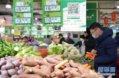 “菜园子”有效对接“菜篮子” ，山东蔬菜市场不脱销不断档