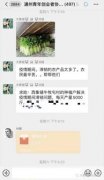 3000斤“爱心芹菜”明天上架北京苏宁家乐福