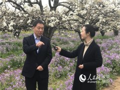 中国·砀山网络梨花节第二场直播：县委书记为梨代言