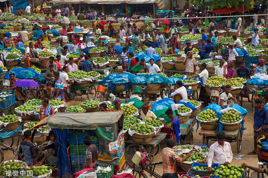孟加拉国水果市场芒果交易 每天多达数千吨芒果被出售