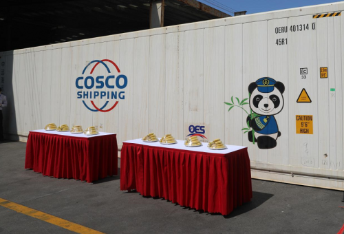 柬埔寨水果正式进入中国市场,100吨香蕉已抵沪