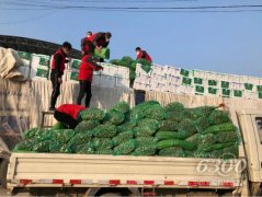 驰援武汉，临工集团捐赠150吨蔬菜已发出