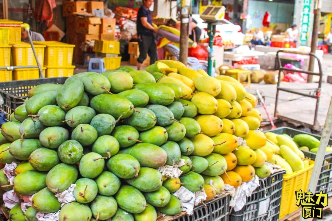 就在岛内！中埔最大水果批发市场，让你实现“水果自由”！