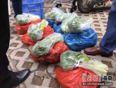 龙华：平价蔬果送到家门口 确保居民拎稳“菜篮子”