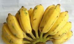 5岁女孩吃香蕉被噎死，父母把给香蕉的老人、附近邻居告上法庭
