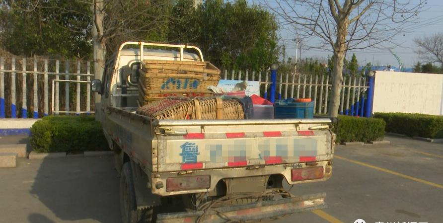 潍坊市青州三男子搭伙盗窃大棚蔬菜 被警方缉拿归案