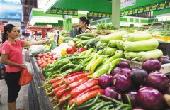 新鲜蔬菜供应市场