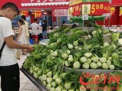 蔬菜价格淡季大涨， 广州个别市场干水菜心涨到16元/公斤