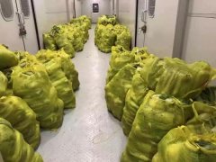 130吨大白菜在沈阳上火车，紧急运往武汉