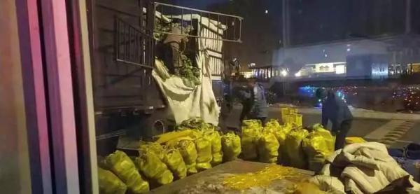 130吨大白菜在沈阳上火车，紧急运往武汉