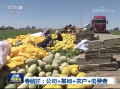 央视综合报道，春藏好易购这个模式为水果行业发展带来全新突破口