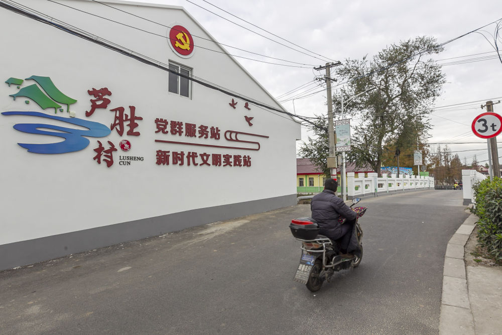 上海芦胜村，有个活力四射的“老青菜”志愿团