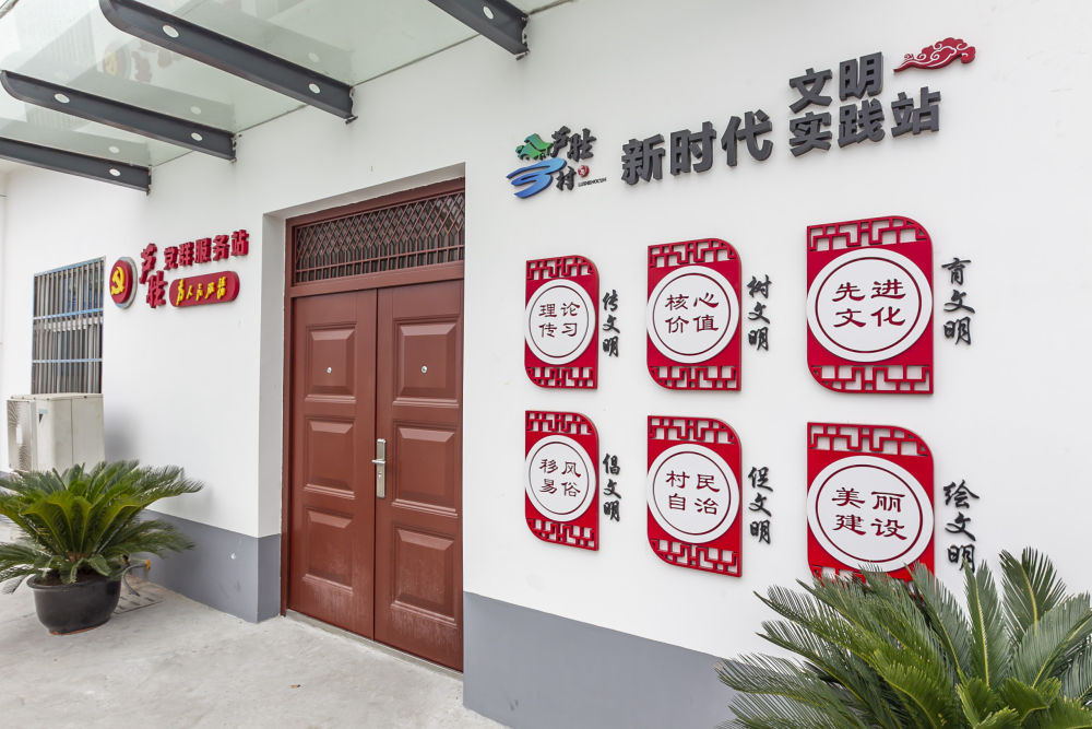 上海芦胜村，有个活力四射的“老青菜”志愿团