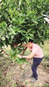 农学博士生阿旺返乡创业种水果为田野找一把AI钥匙