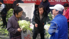 渭南华州区白菜、萝卜滞销 爱心企业购买10吨送市民
