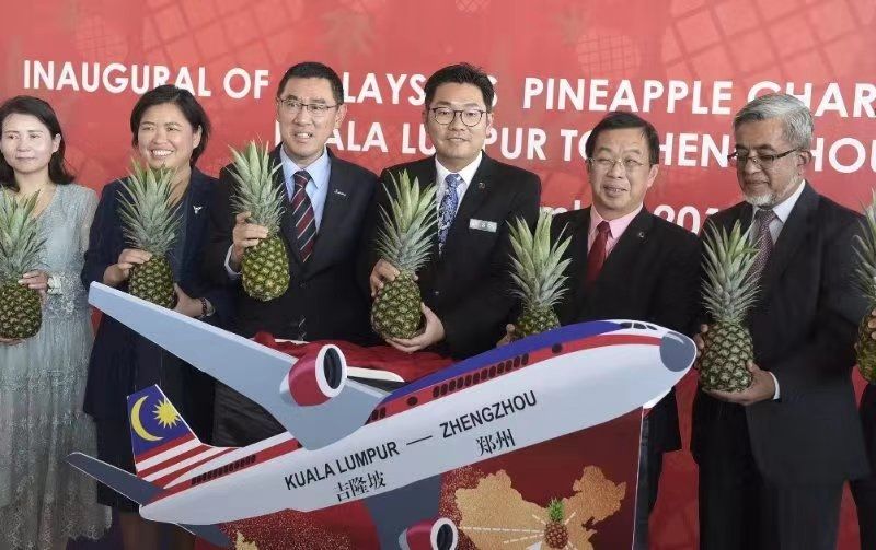 马来西亚菠萝专机启程 目的地：中国！