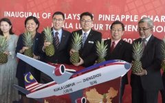 图片 马来西亚菠萝专机启程 目的地：中国！