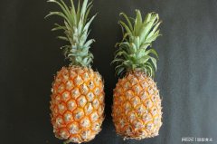 菠萝和凤梨是同一种水果吗？他们的区别究竟在哪里？看完你就懂了