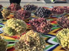 吐鲁番的葡萄惊艳北京世园会