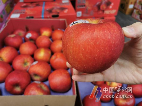 清明节前宁波水果市场回暖 日销售额突破400万元