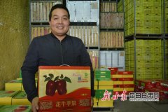 甘肃首例苹果气候品质认证落地天水市麦积区 这里的“花牛”苹果一斤卖到1